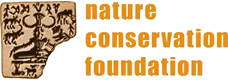 logo-a4-11-7